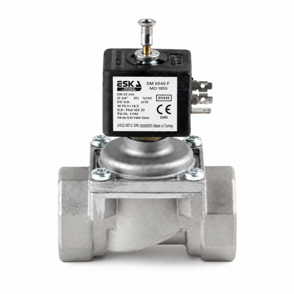 Eska 1'' Gaz Selenoid Vana 220V