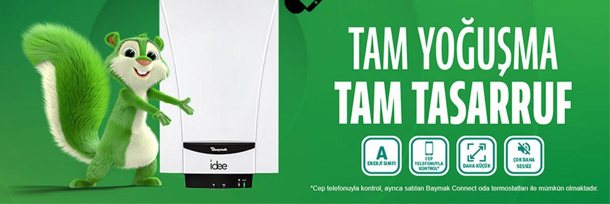 Vaillant İntro 